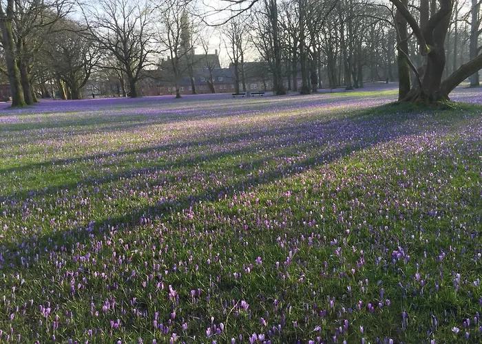 Fischerstuuv Appartement Husum (Schleswig-Holstein)